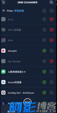 DNS Changer Pro:优化网络连接,提升上网体验,分类:👁︎手机APP,发布时间:2025-10-01 image.png