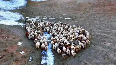 努尔加的乡村牧歌：自然与牧民生活的和谐共鸣，分类：大美新疆，标签：自然风光, 放牧生活, 乡村和谐, 牧民文化, 生态平衡