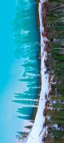 喀纳斯秋季美景,分类:🎊精选壁纸,发布时间:2026-01-09 喀纳斯秋季美景,分类:🎊精选壁纸,标签:喀纳斯, 打击非法, 黄色活动