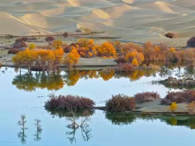 《葫芦岛暮吟》,分类:🎊精选壁纸,发布时间:2026-01-09 《葫芦岛暮吟》,分类:🎊精选壁纸,标签:1. 葫芦岛, 2. 自然风光, 3. 沙海奇观