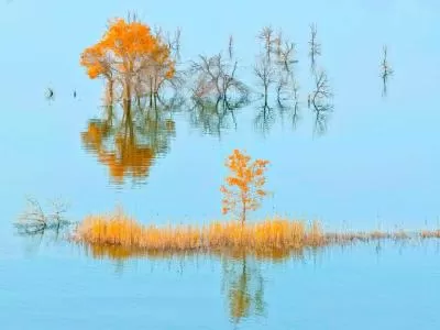 《葫芦岛暮吟》,分类:🎊精选壁纸,发布时间:2026-01-09 《葫芦岛暮吟》,分类:🎊精选壁纸,标签:1. 葫芦岛, 2. 自然风光, 3. 沙海奇观