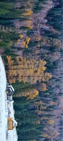 喀纳斯秋季美景,分类:🎊精选壁纸,发布时间:2026-01-09 喀纳斯秋季美景,分类:🎊精选壁纸,标签:喀纳斯, 打击非法, 黄色活动