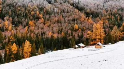 冬季仙境：喀纳斯的治愈系雪景，分类：大美新疆，标签：冬季旅游, 治愈系, 喀纳斯, 雪景, 自然风光
